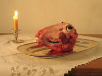 Still Alive, Sheep and Fly