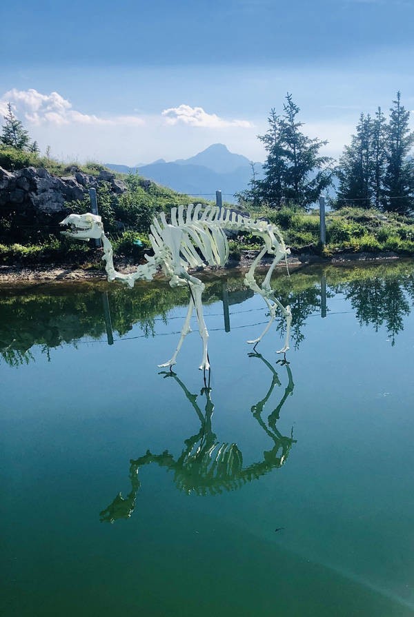 FATA MORGANA AILYOS LEYSIN